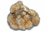 Sparkling Cactus Quartz Crystal Cluster - South Africa #303476-1